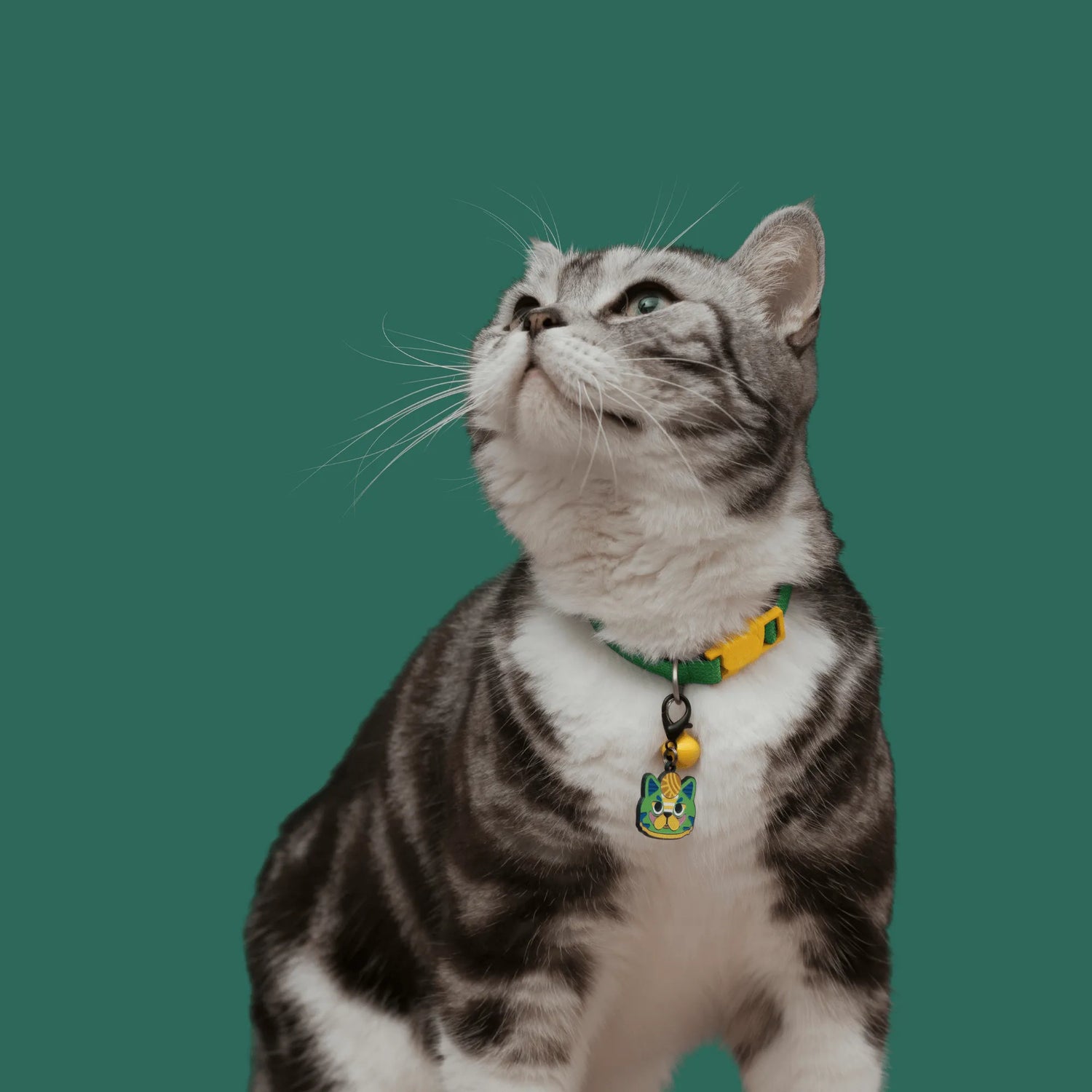 [Customizable] Pet ID Tags - HiDREAM