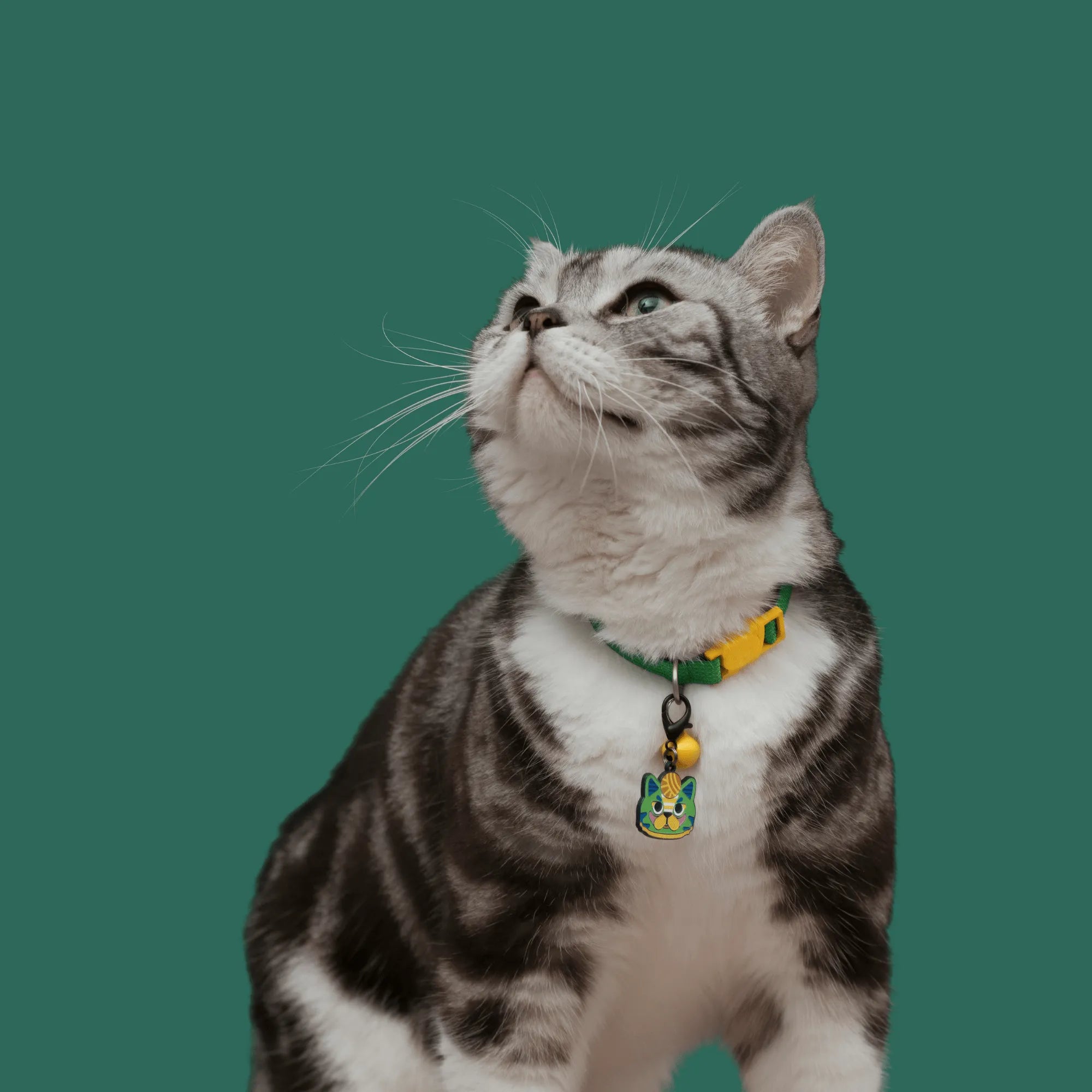 [Customizable] Pet ID Tags - HiDREAM