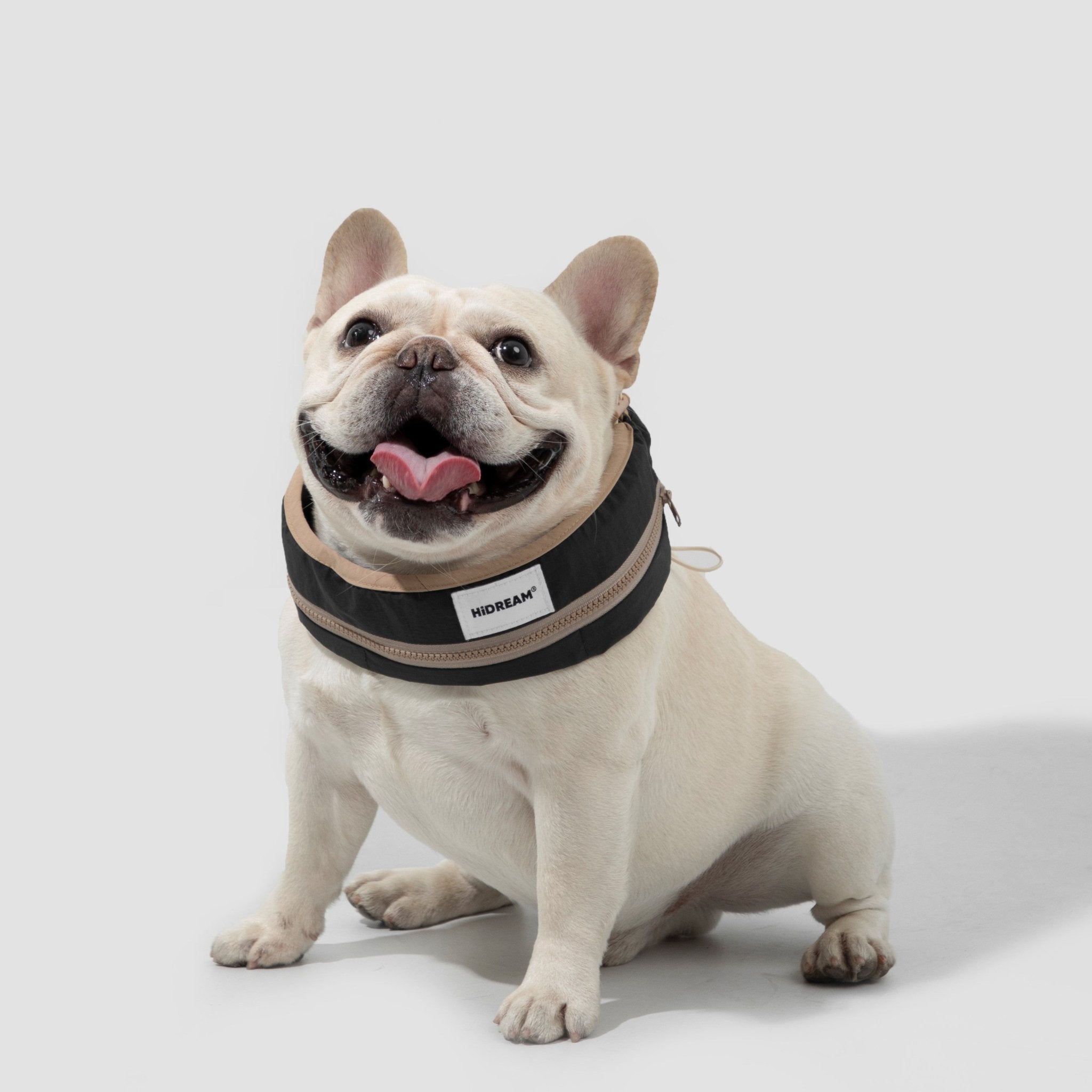 Dog Cooling Collar - HiDREAM