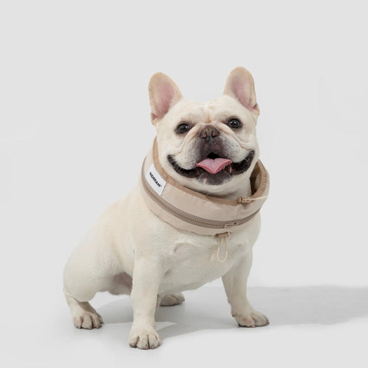 Gel Cooling Collar for Dogs – image 3
