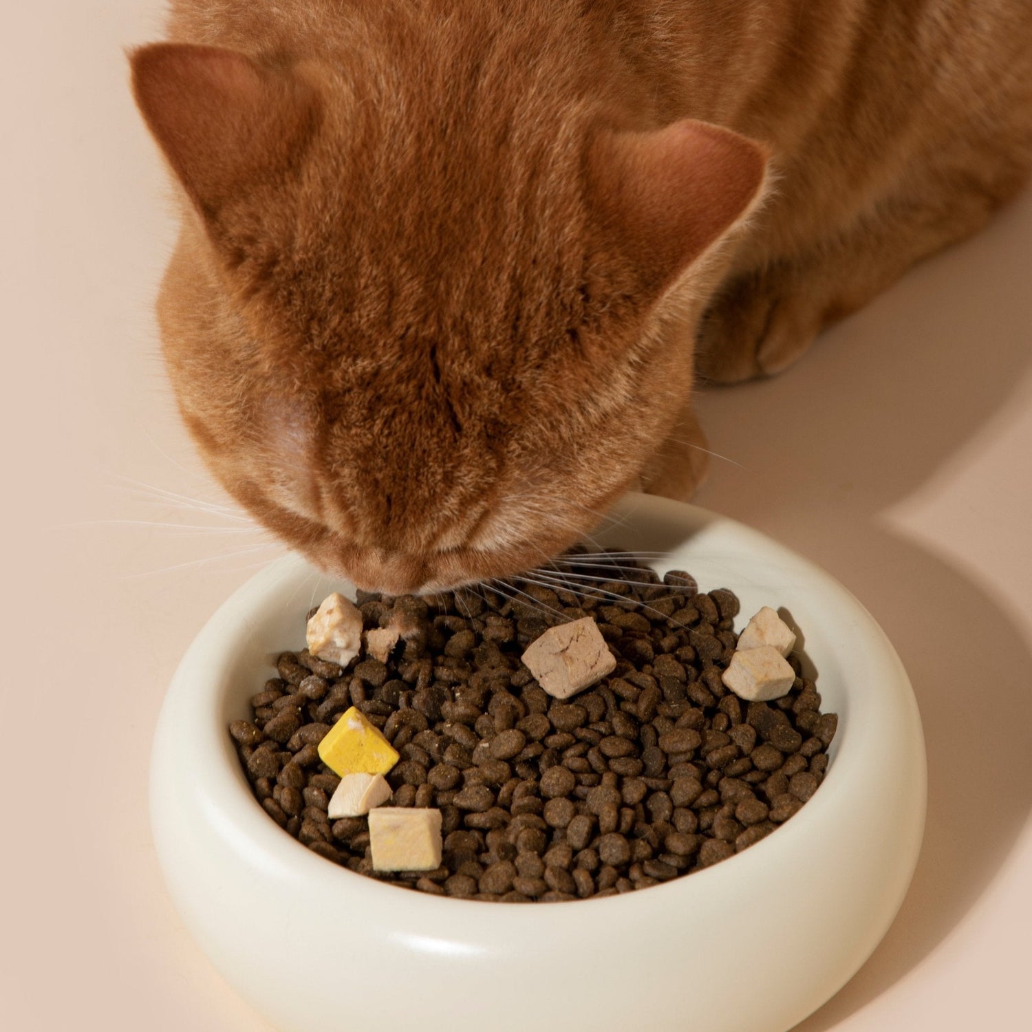 Donut Ceramic Pet Bowl - HiDREAM