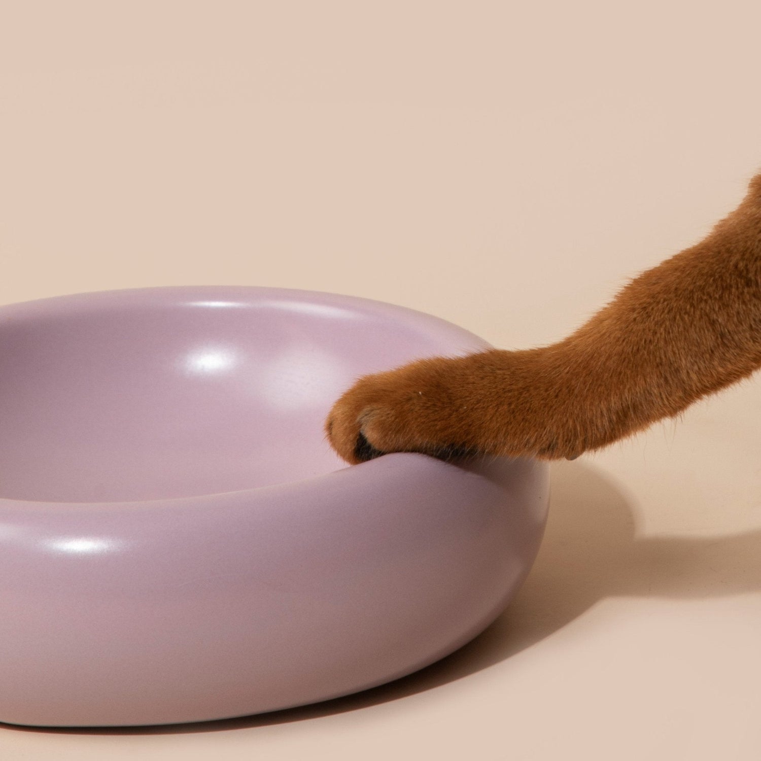 Donut Ceramic Pet Bowl - HiDREAM