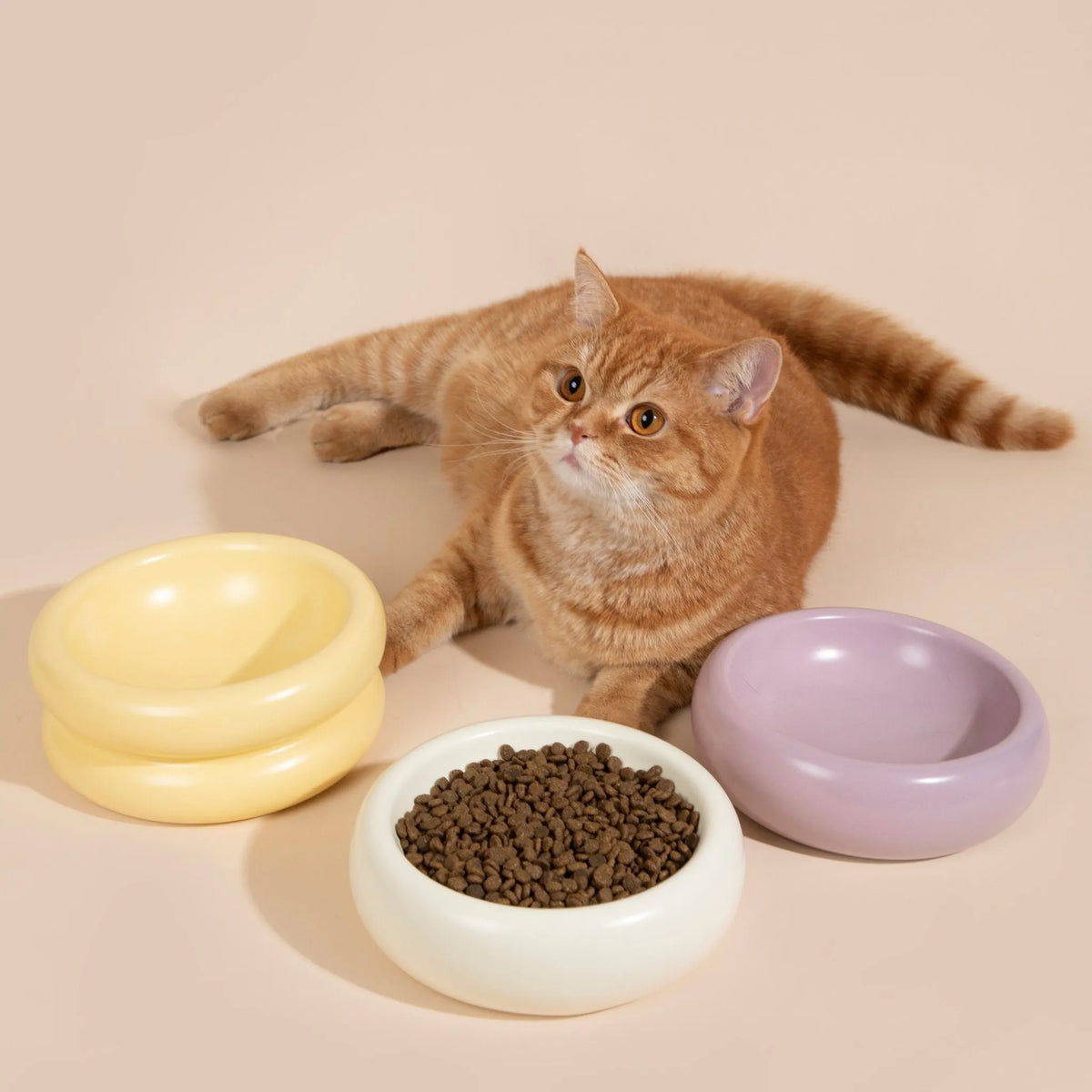 Gamelle en céramique pour animaux de compagnie HiDREAM Donut