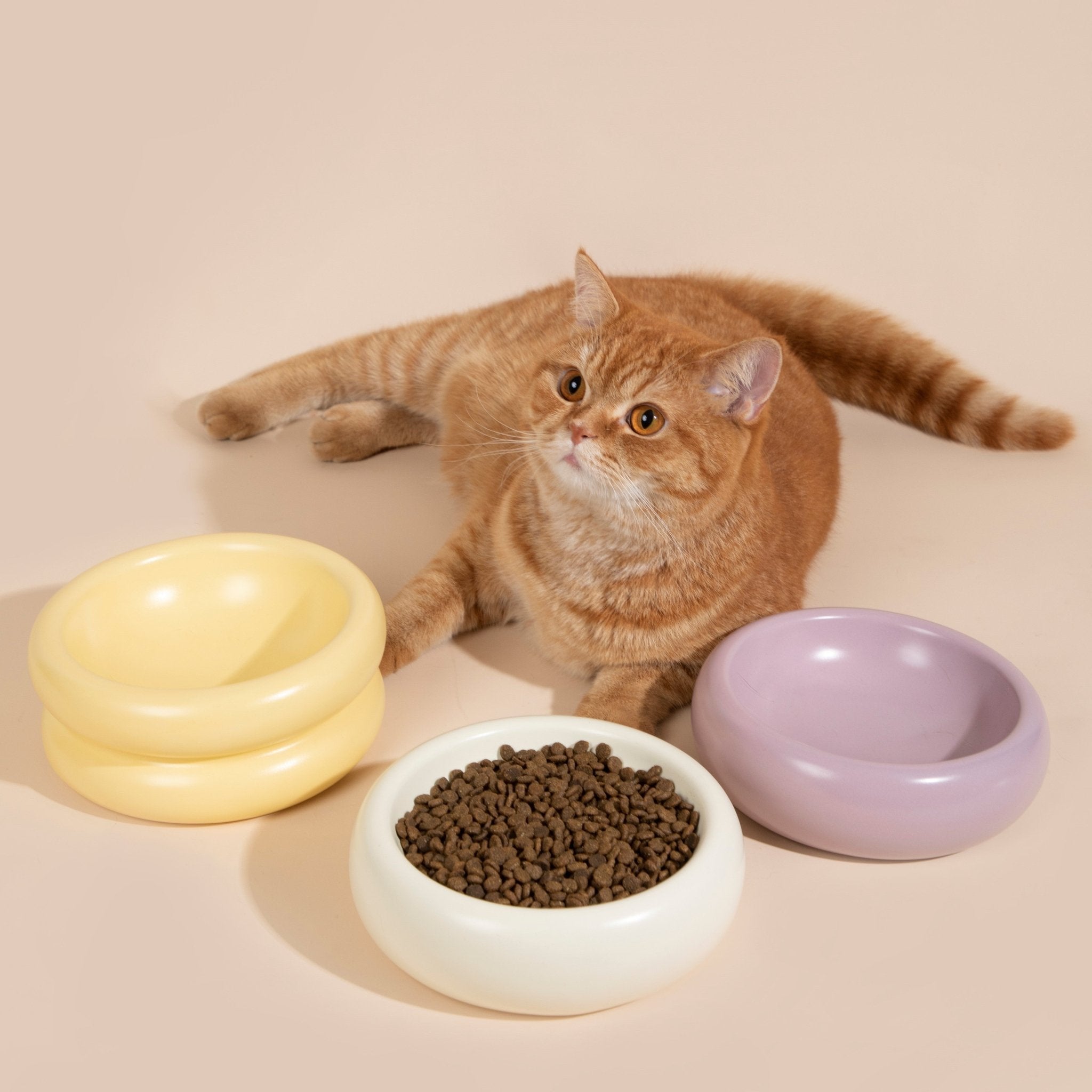 Donut Ceramic Pet Bowl - HiDREAM