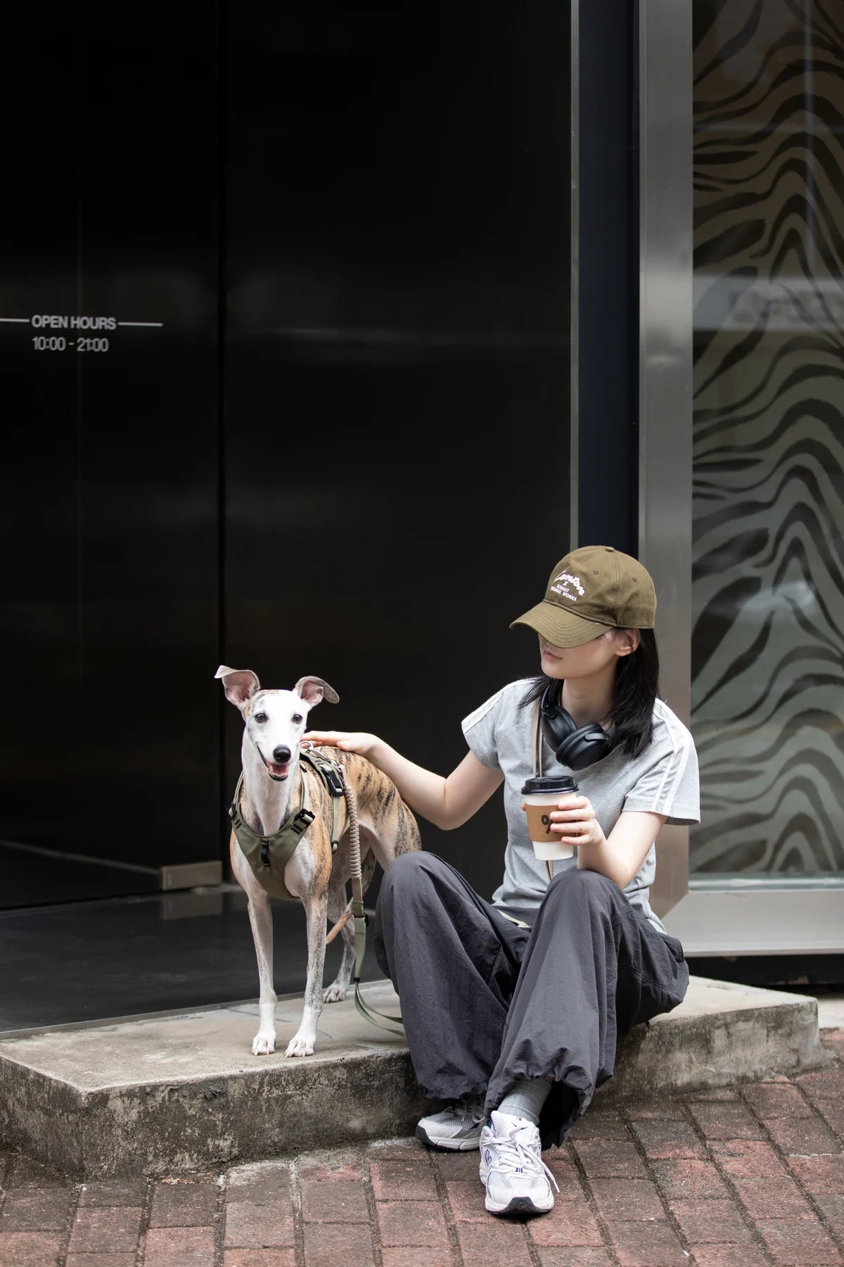 Owner pausing beside a dog wearing the Clay Brown harness