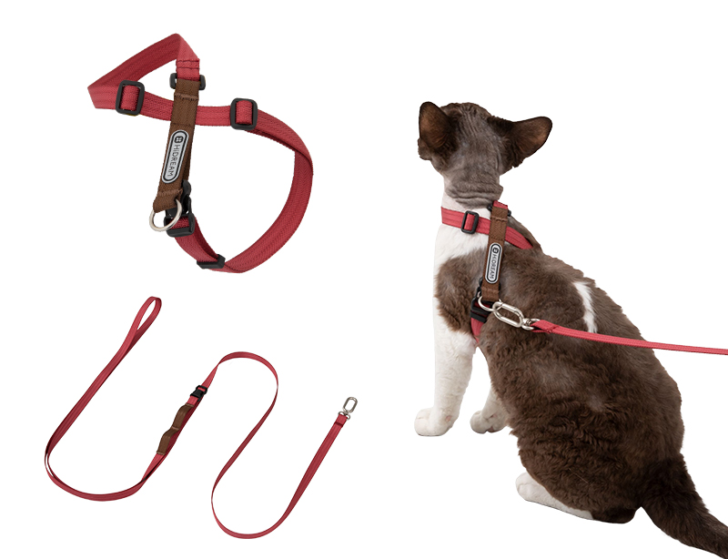 Figure-8 cat harness and matching leash set in berry red