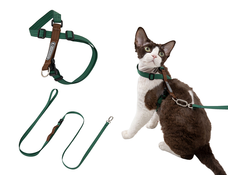 Figure-8 cat harness and matching leash set in turquoise green