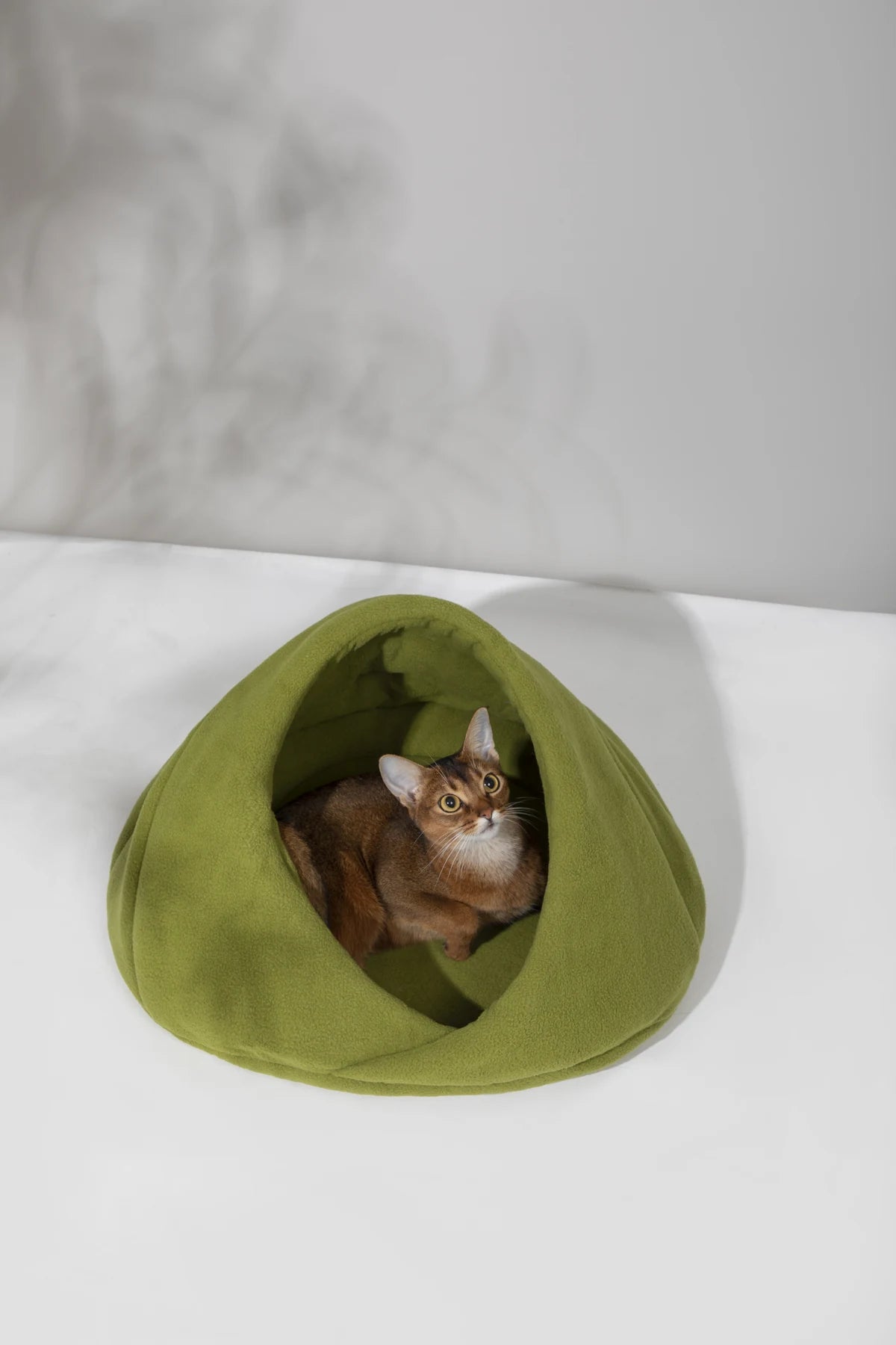 Cat curled inside the Matcha Green hideaway