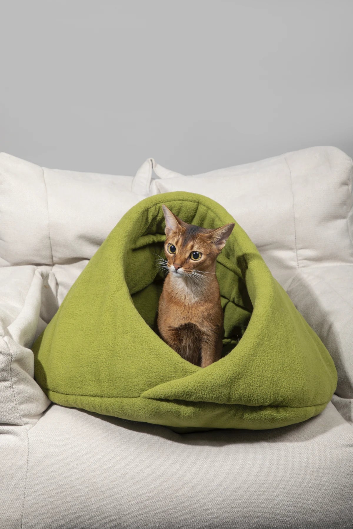 Cat sitting in the Matcha Green fleece hideaway on a sofa