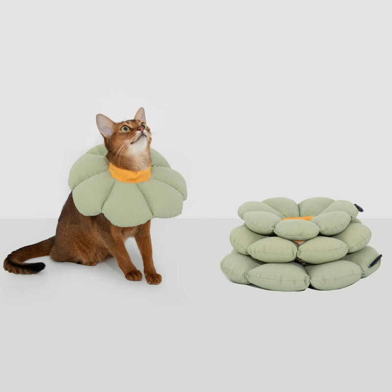 Flower-Shaped Cat Recovery Collar