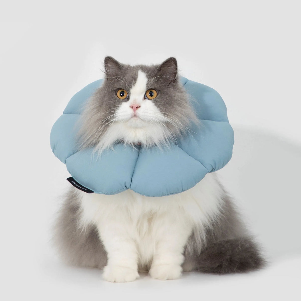 Flower-Shaped Cat Recovery Collar – image 5