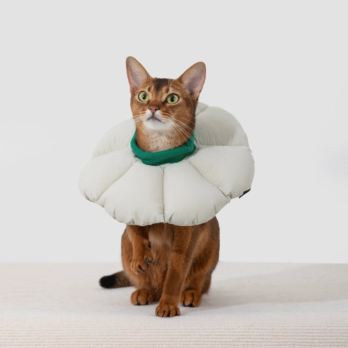 Flower-Shaped Cat Recovery Collar – image 4