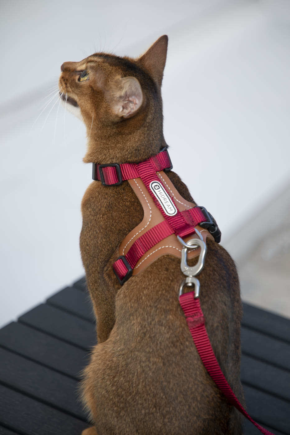 A leather back pad