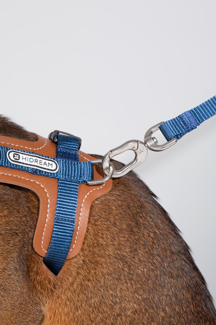 A climbing-style swivel clip