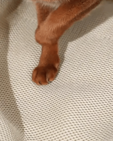Soft inside