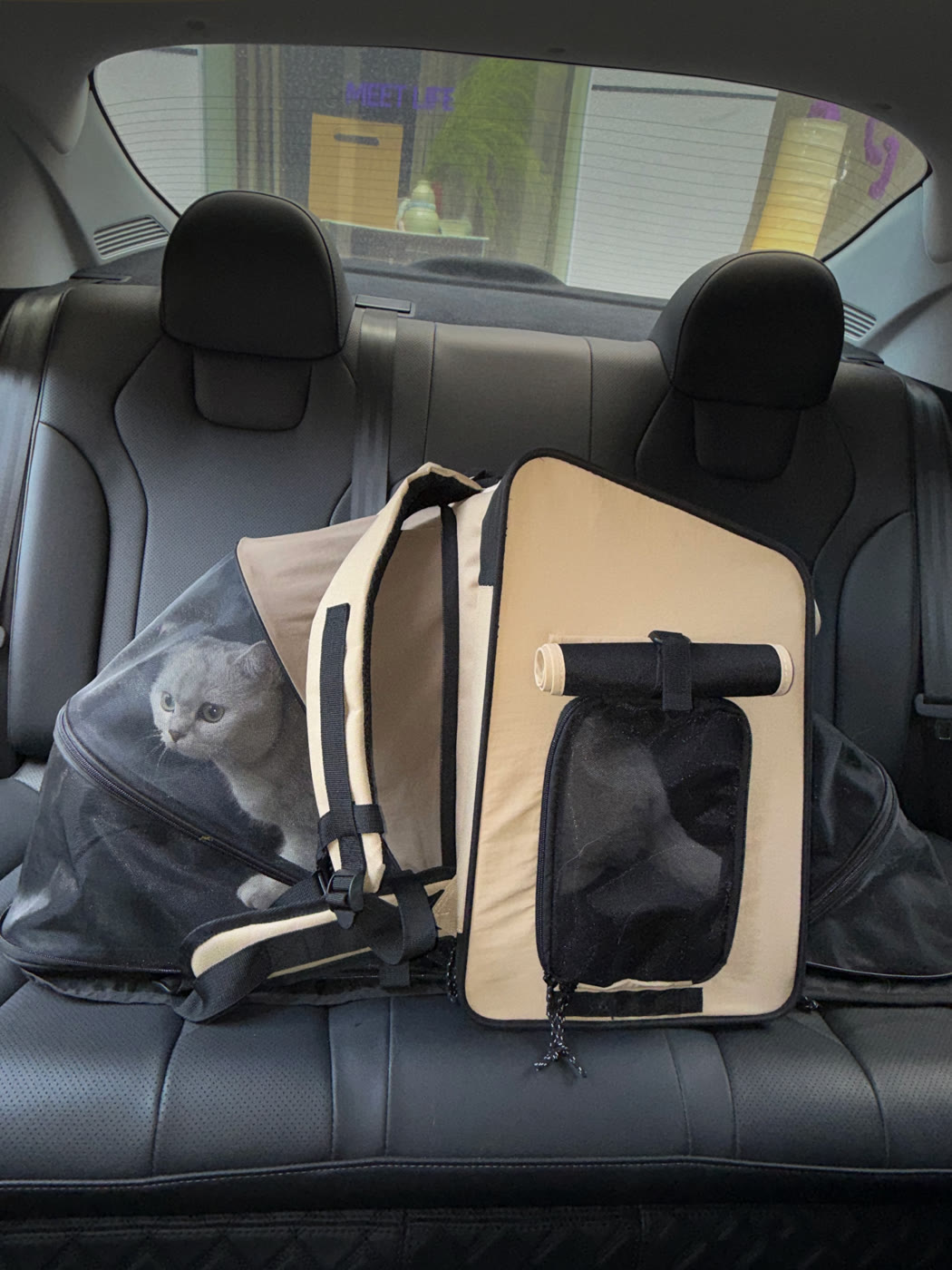 A den on the back seat