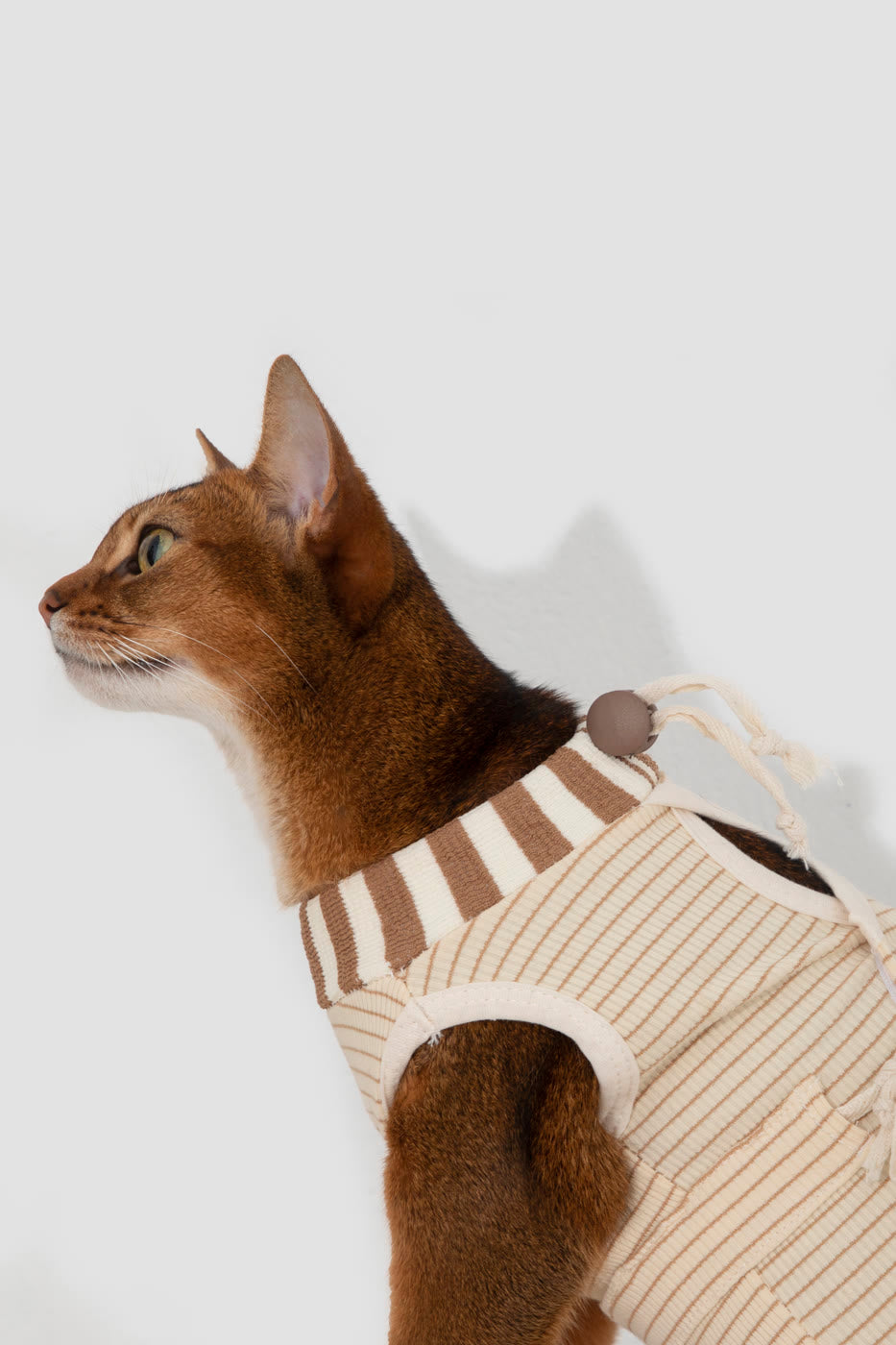 An adjustable neckline