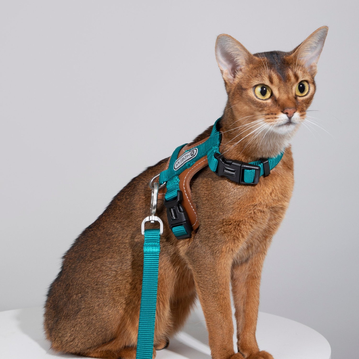 HiDREAM Bobo Series - Leather Patchwork Cat Vest Cat Harness and Leash Set Escape Proof Kitten Harness - HiDREAM