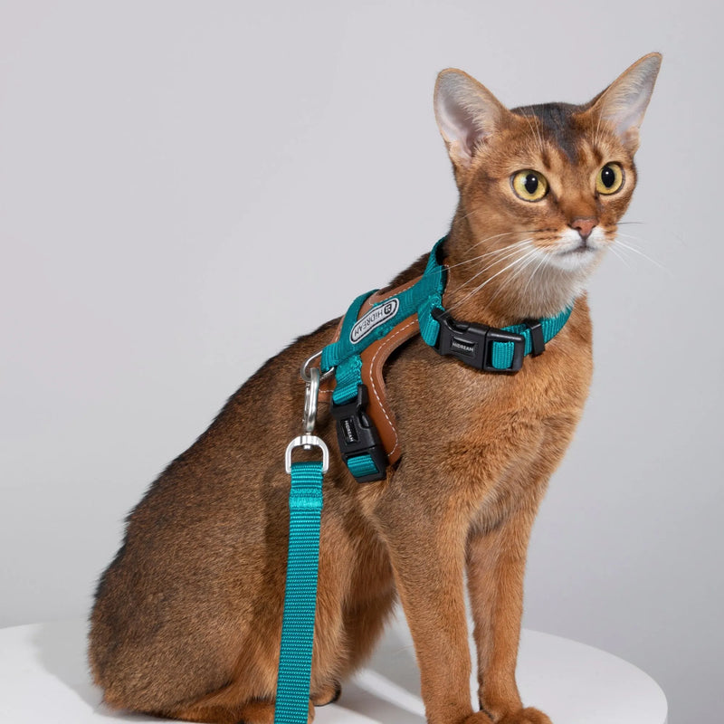 Bobo Leather Patchwork Cat Harness Set
