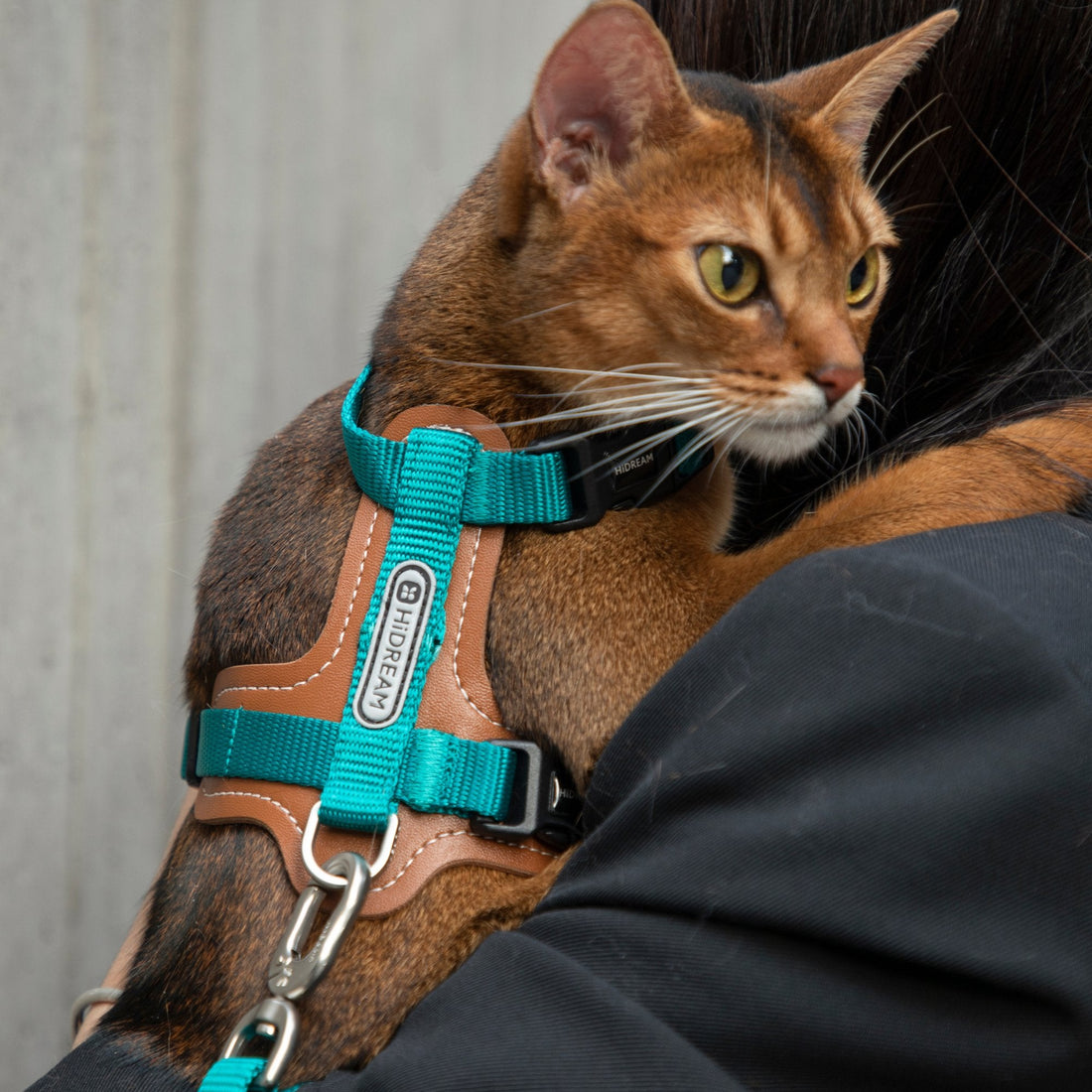 HiDREAM Bobo Series - Leather Patchwork Cat Vest Cat Harness and Leash Set Escape Proof Kitten Harness - HiDREAM