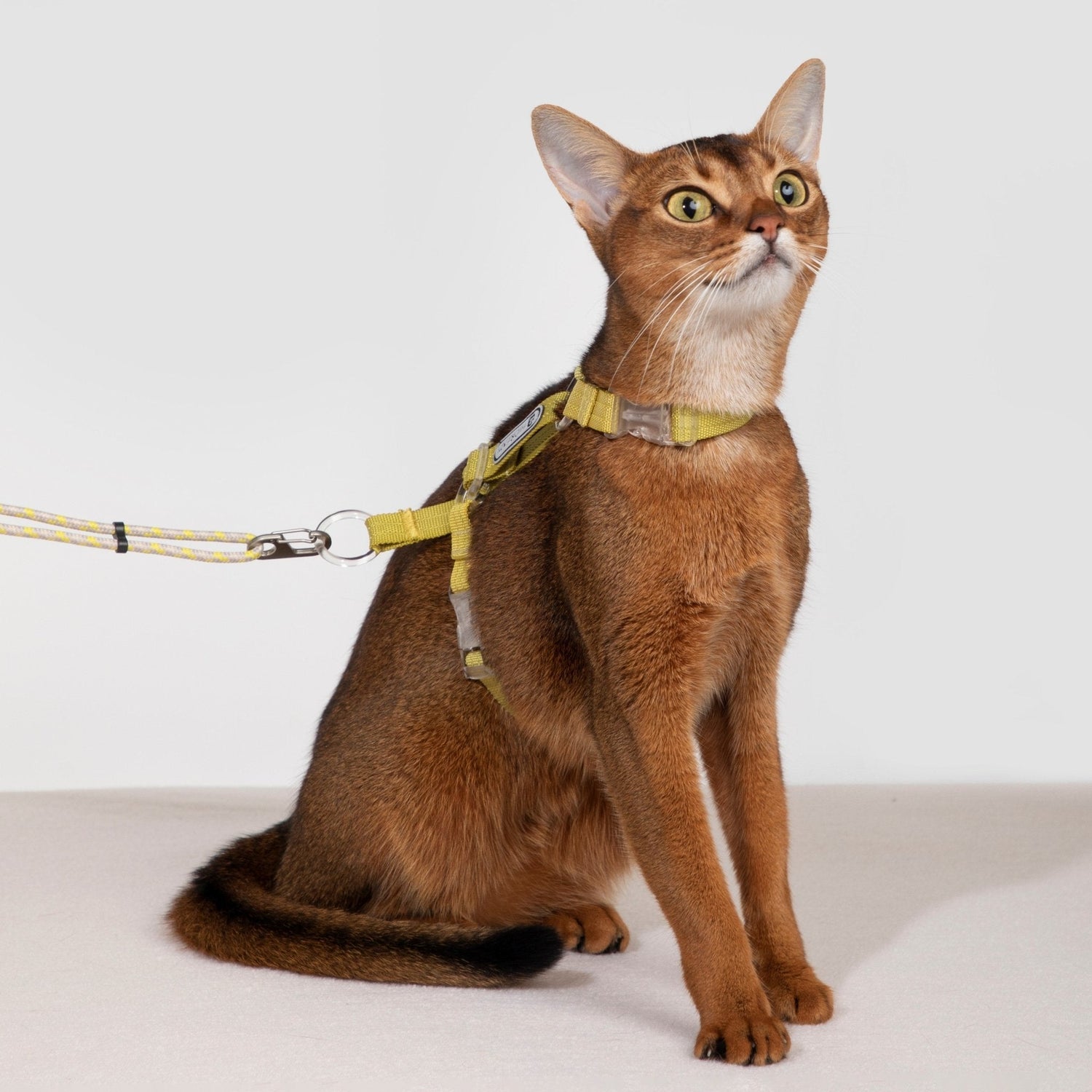 HiDREAM Bobo Series - Rope Spliced Nylon Cat Vest Cat Harness and Leash Set Escape Proof Kitten Harness - HiDREAM