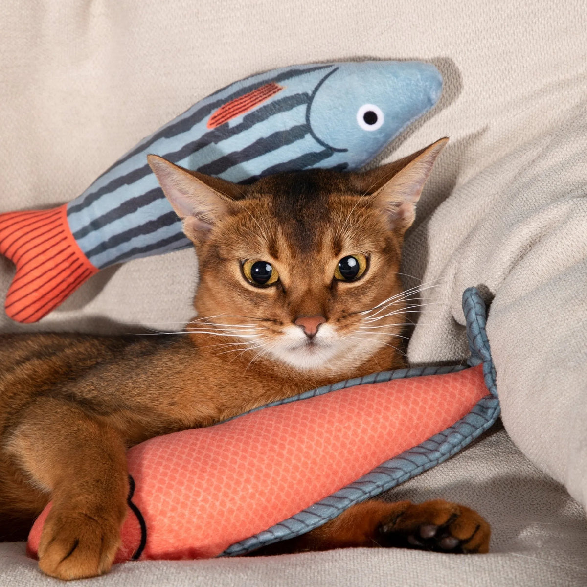 Jouet poisson à l'herbe à chat HiDREAM
