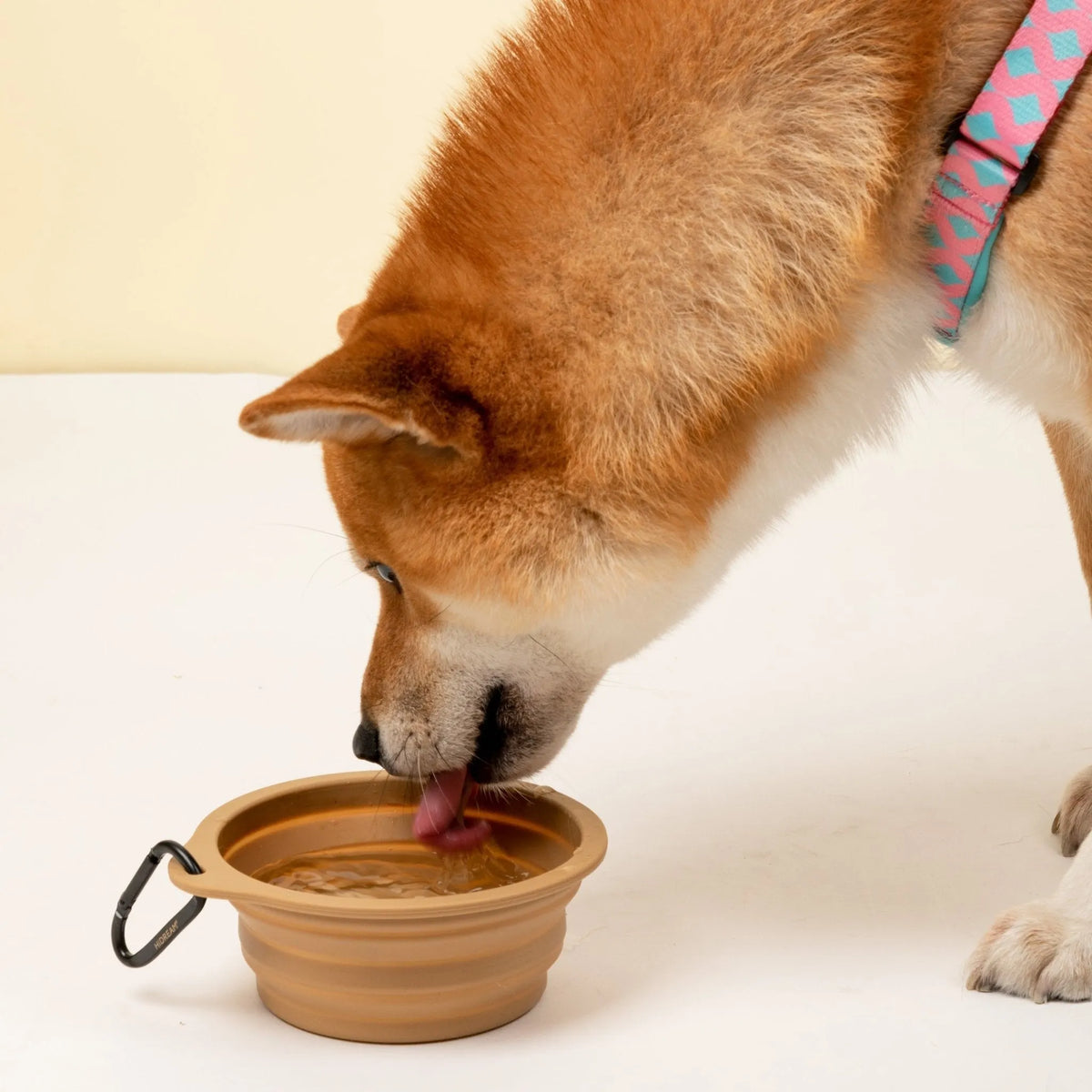 Gamelles pliables pour animaux de compagnie HiDREAM pour le voyage