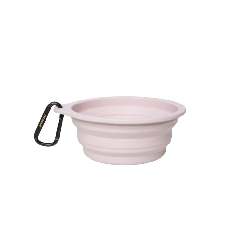 Collapsible Travel Pet Bowl