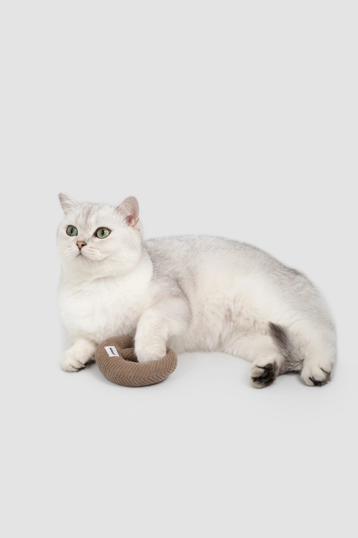 Cat resting a paw beside the Pretzel knitted catnip toy