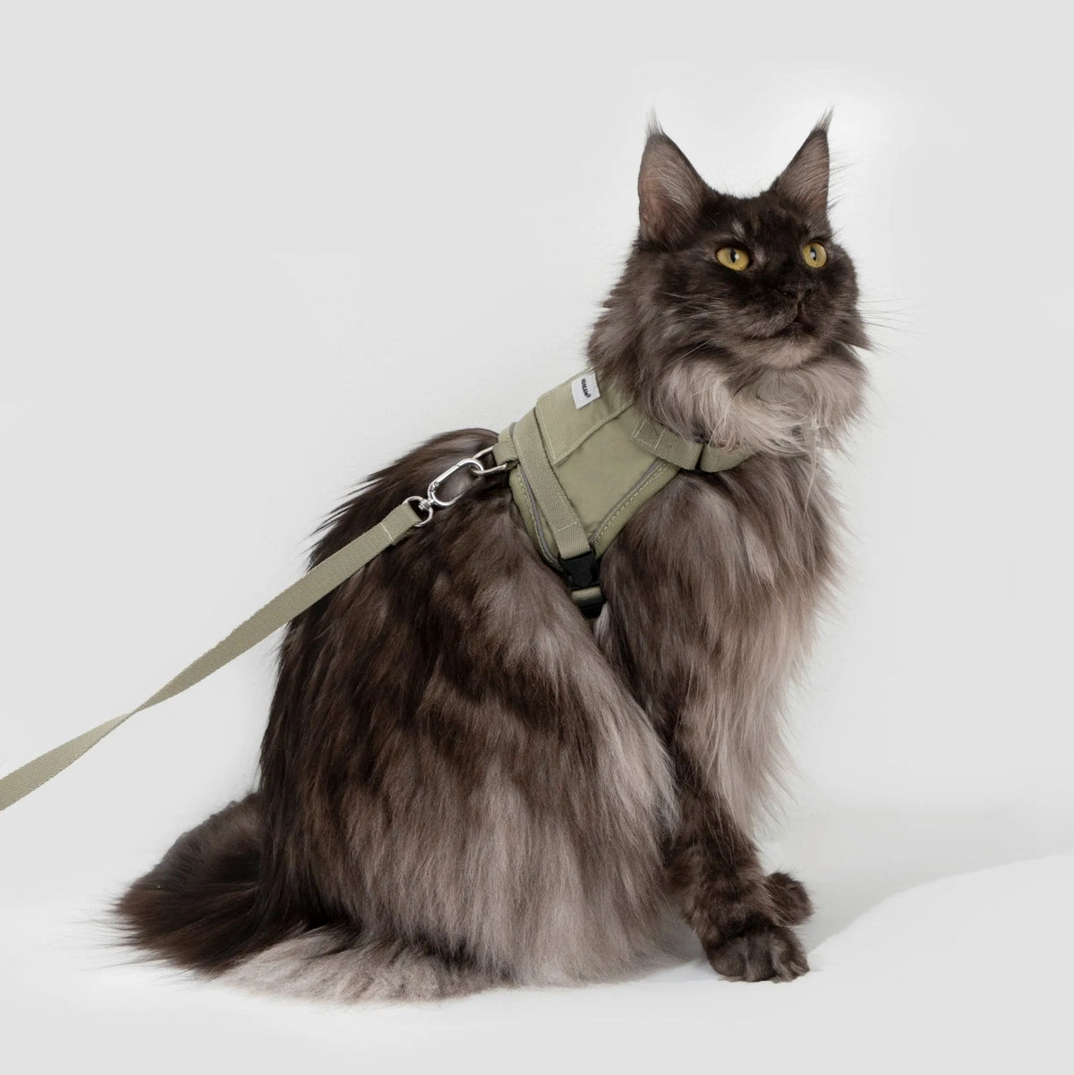 Valley Cat Harness & Leash Set