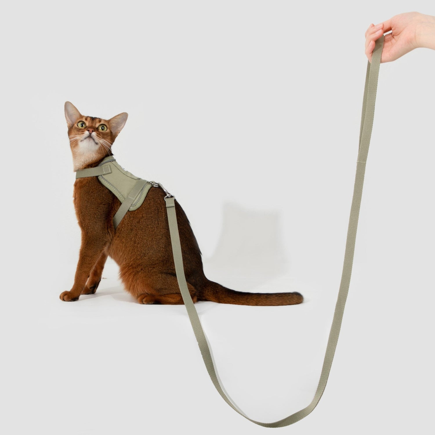 (NEW) Valley Series Cat Vest Harness Kit - HiDREAM