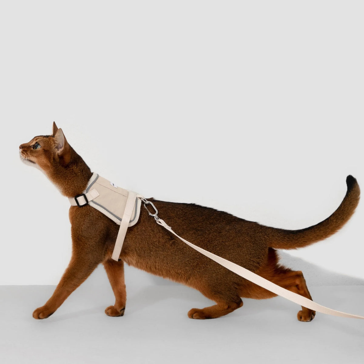 Valley Cat Harness & Leash Set – image 3