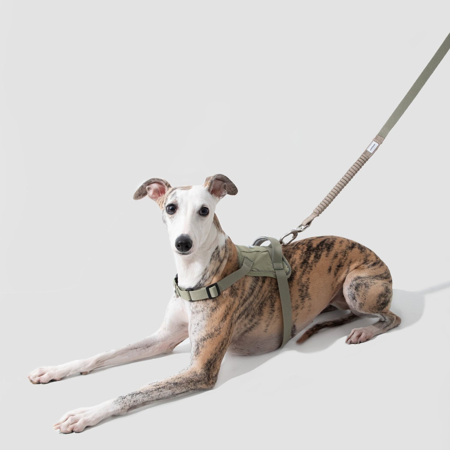 (NEW) Valley Series Dog Harness Vest Kit - HiDREAM