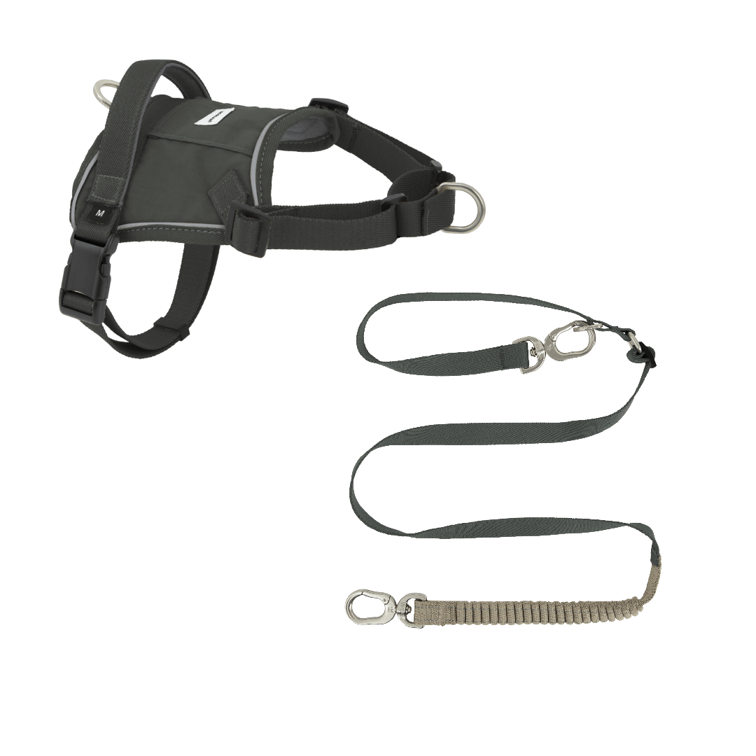 (NEW) Valley Series Dog Harness Vest Kit - HiDREAM