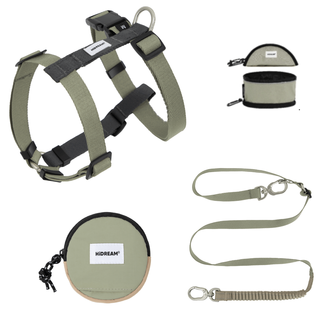 (NEW) Valley Series Dog Harness Walk Kit - HiDREAM