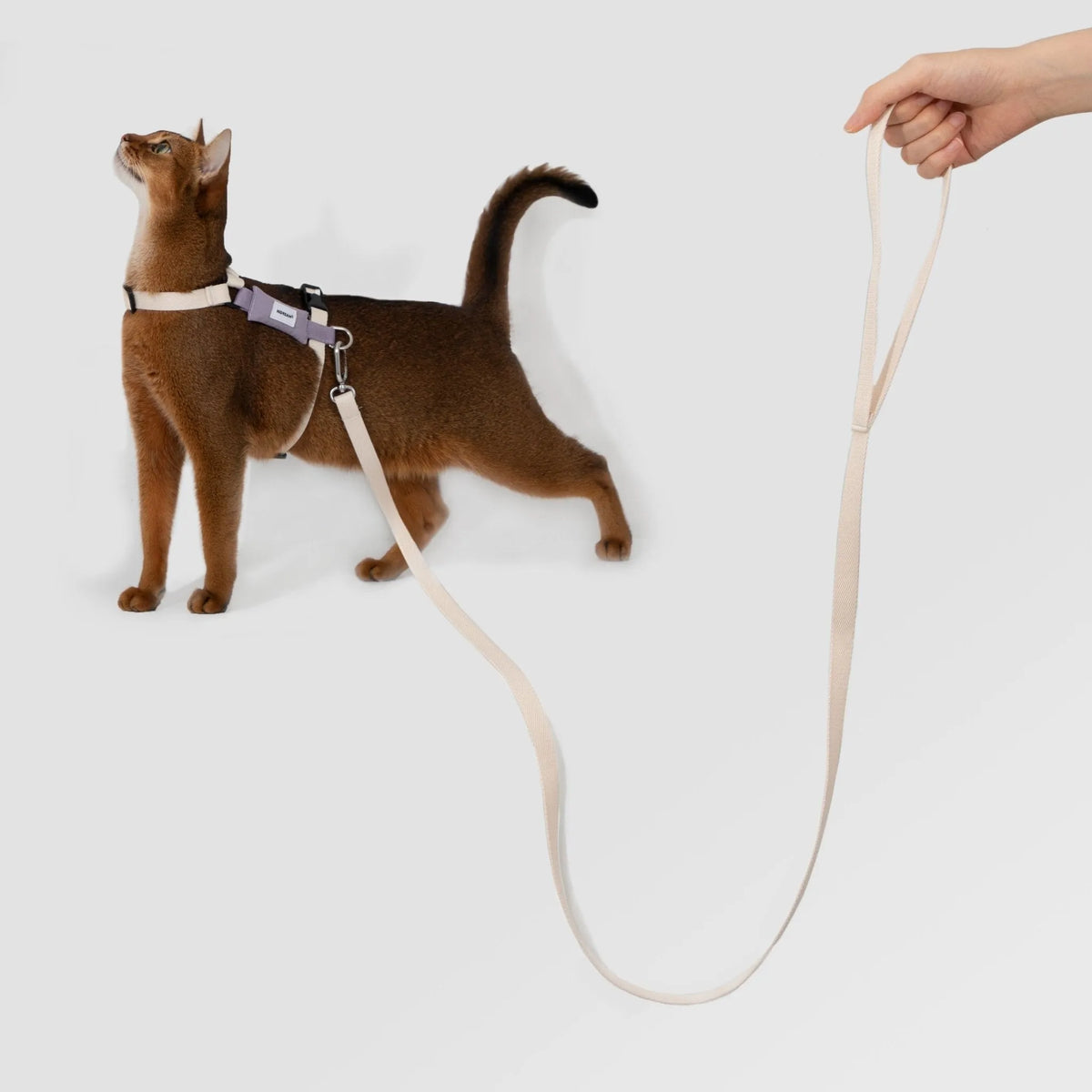Valley Lightweight Cat Harness & Leash Set
