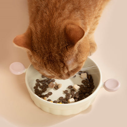 Pet Ceramic Bowl - HiDREAM