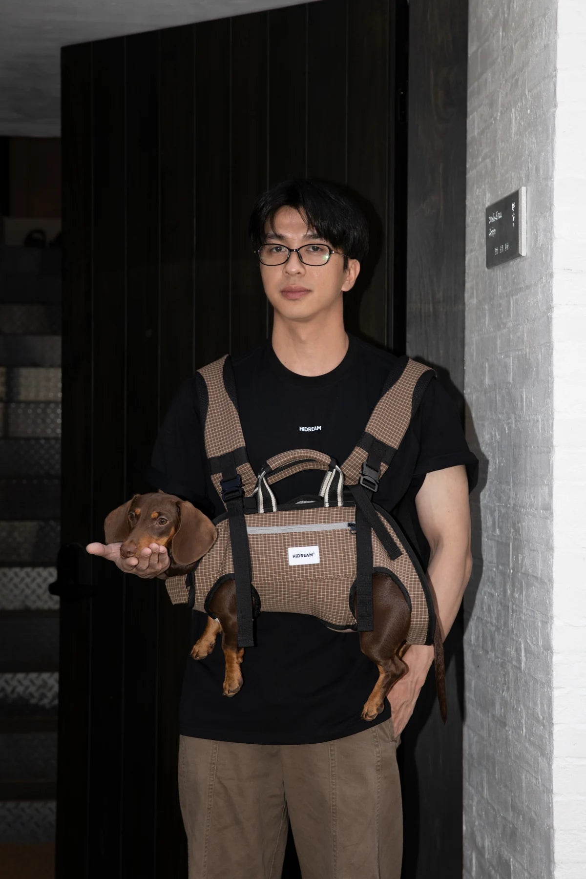 Owner wearing the Brown Check carrier with a dog