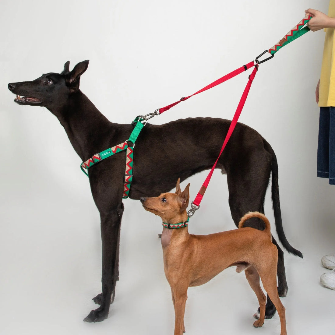 Rainbow Series - Multi - functional Leashs & Figures - HiDREAM