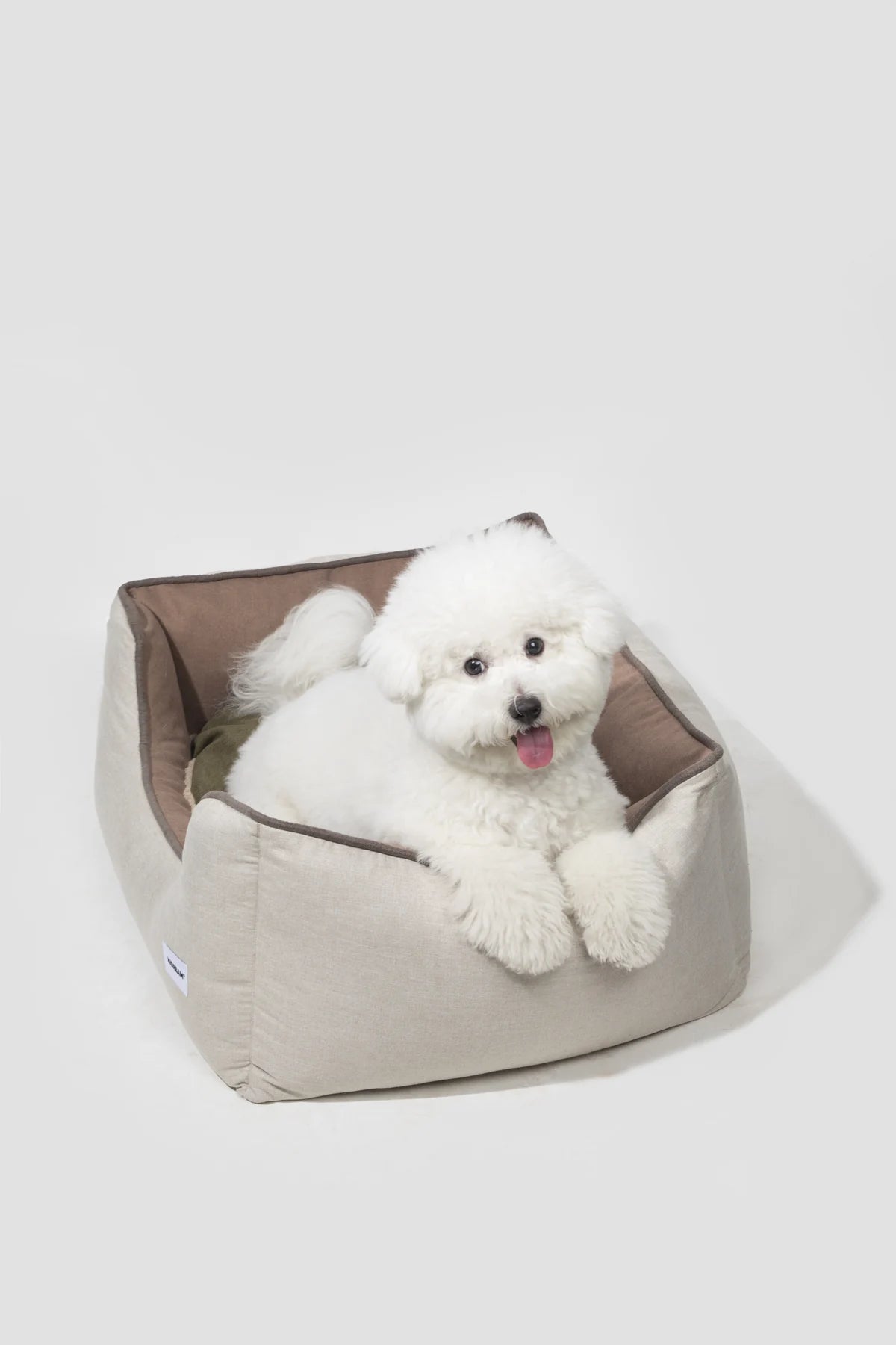 Small white dog settled in the bed