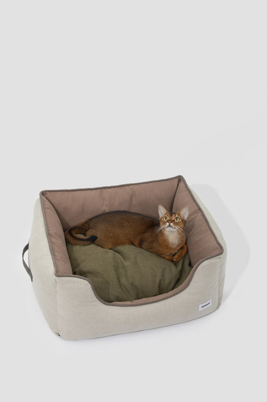 Cat resting in the Brown bed with its green cushion side visible