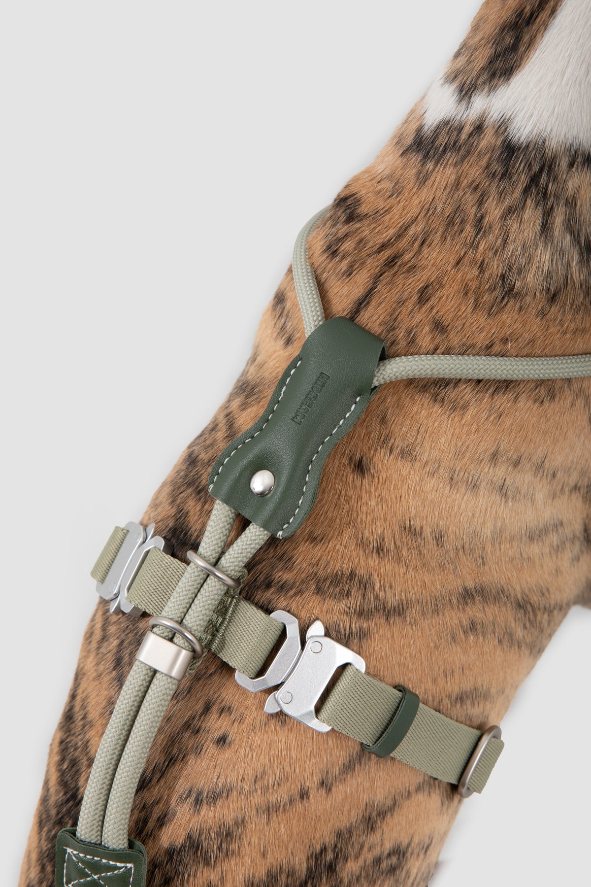 Close-up of the Olive Green rope harness adjustment and buckles