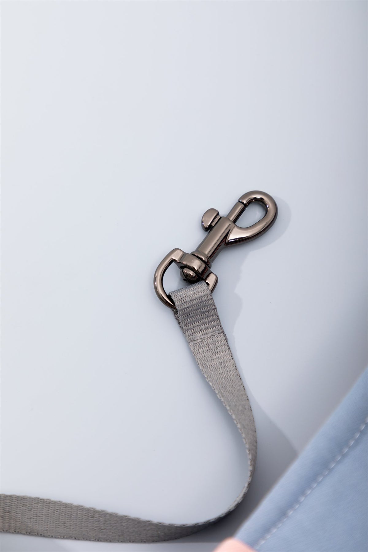 Safety clip inside the pet sling