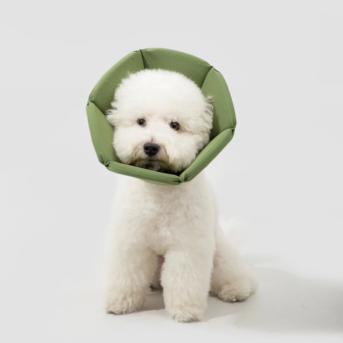 Collier de récupération pour chat HiDREAM - Anneaux élisabéthains souples et coniques - Joli collier imperméable pour chat - Style toutes saisons
