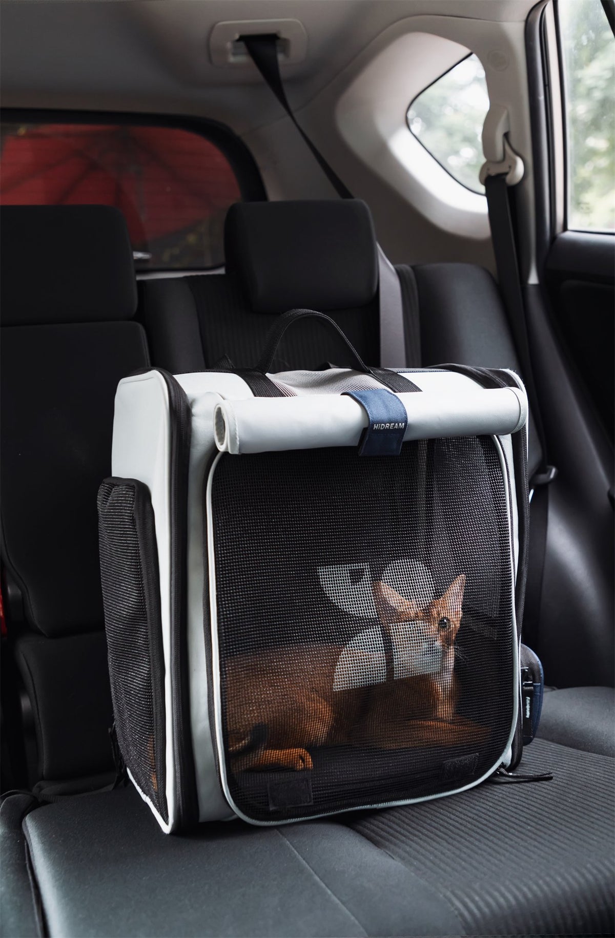 Tented carrier with a cat inside on a car seat