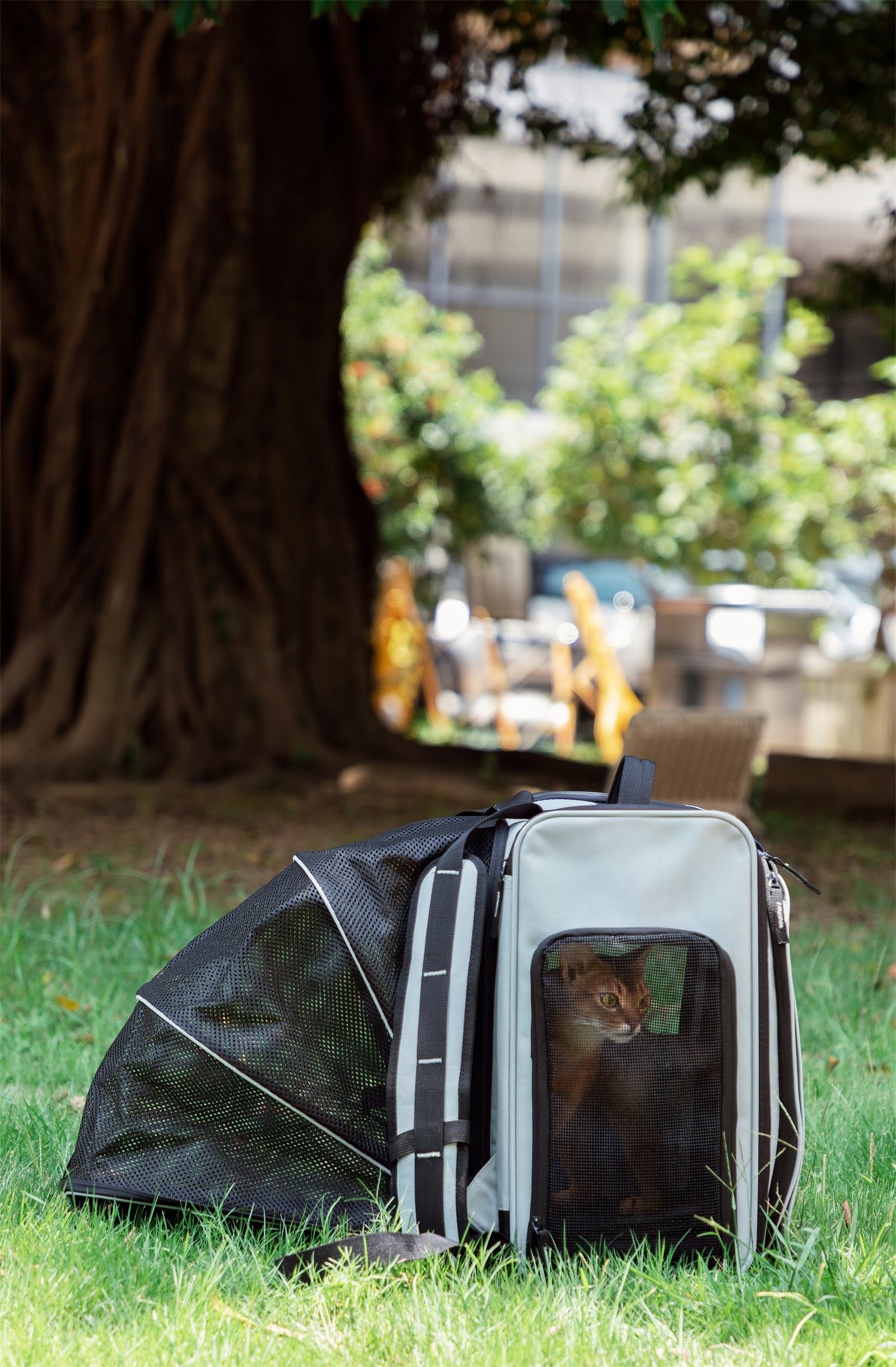 Tented carrier with its mesh tent unfolded on the grass