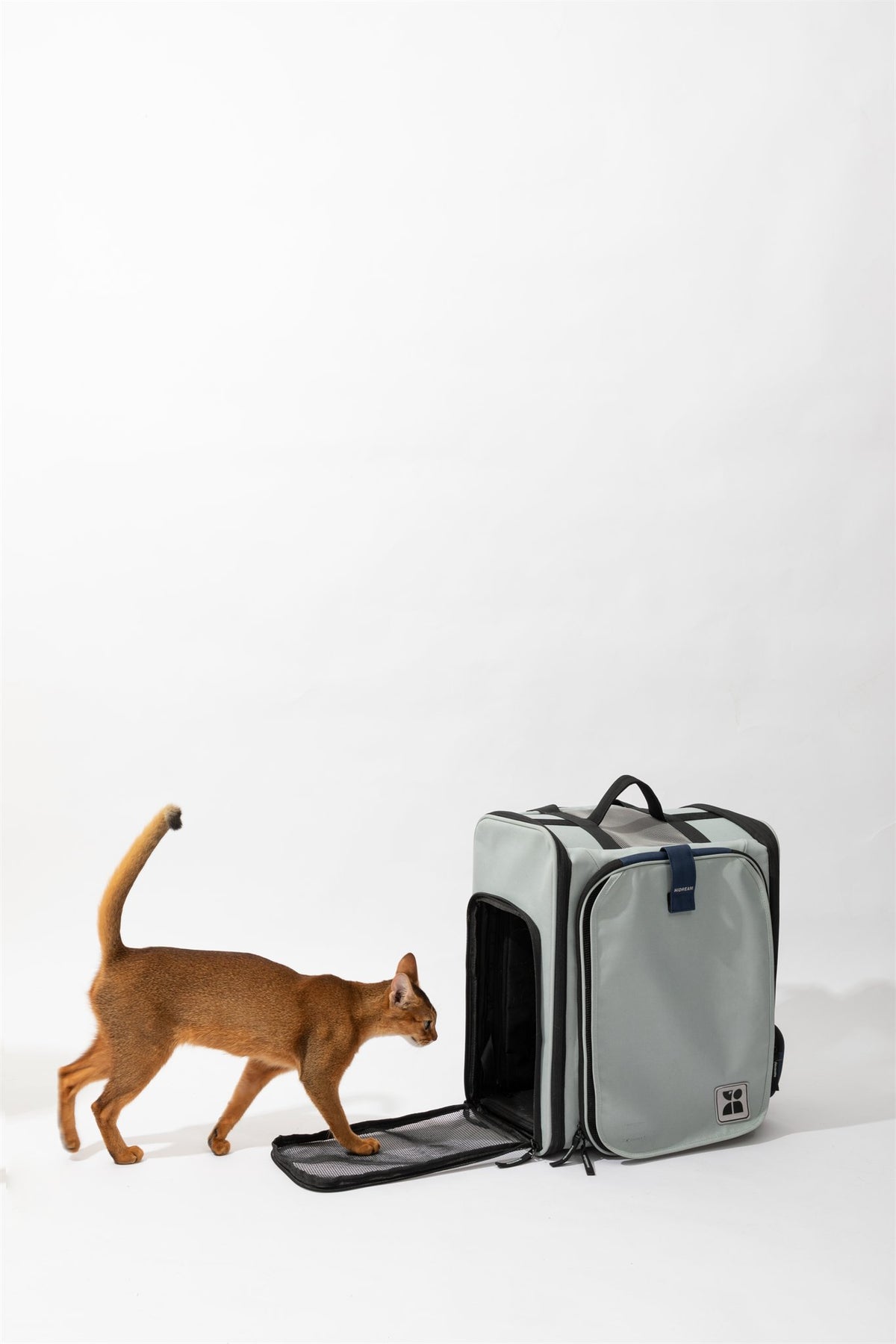 Cat walking toward the open side door of the Volcanic Gray Tented pet carrier backpack