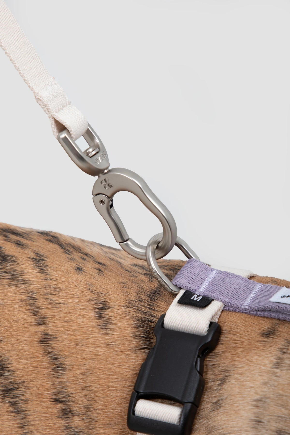 Standard leash clip attached to the harness ring
