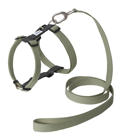 Valley H-Style Dog Harness & Leash Set