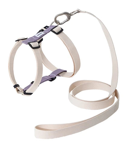 Purple H-style dog harness and matching 130 cm standard leash — two-piece set